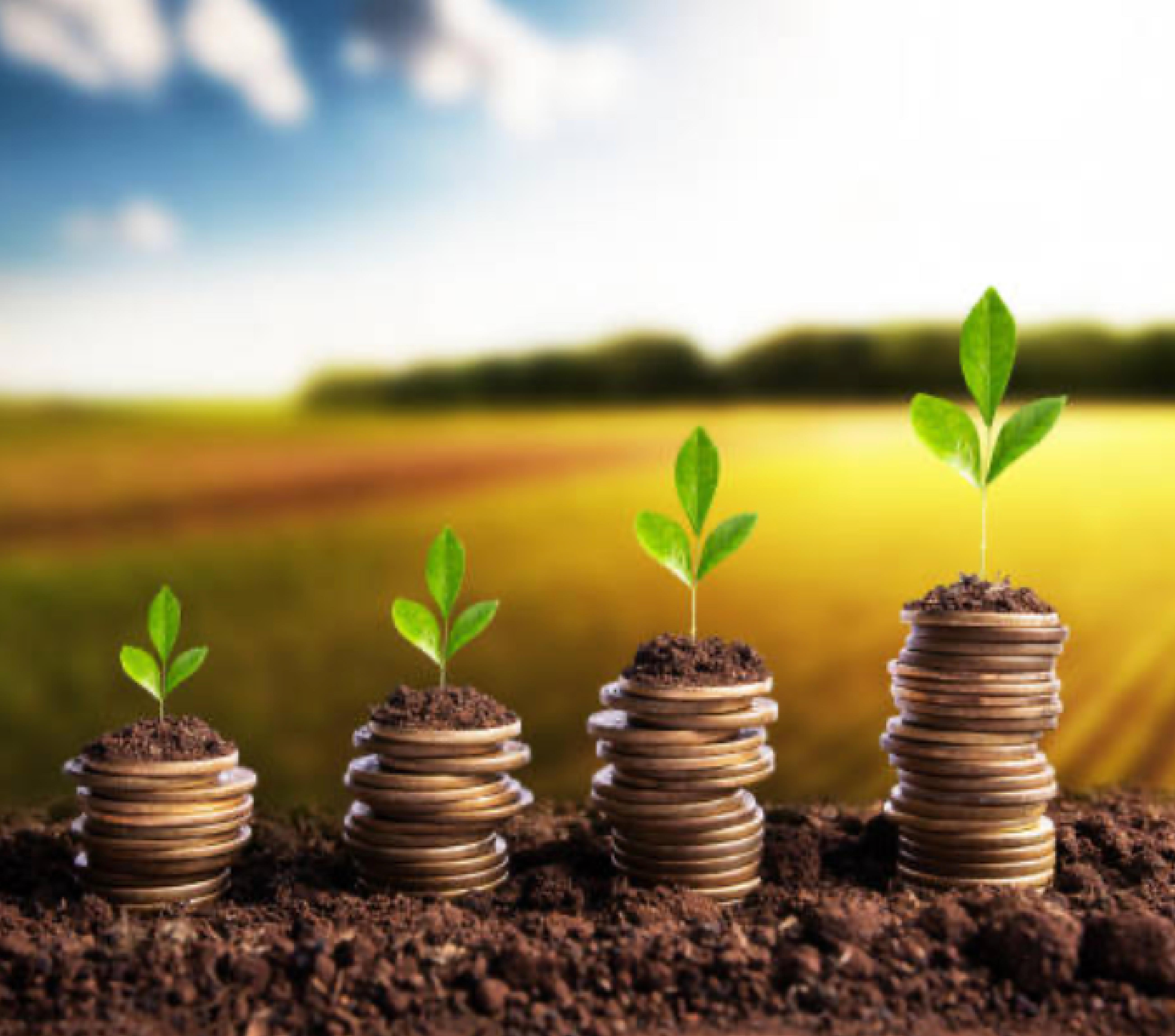 Agricultural property and farm equipment valuation in Kenya.
